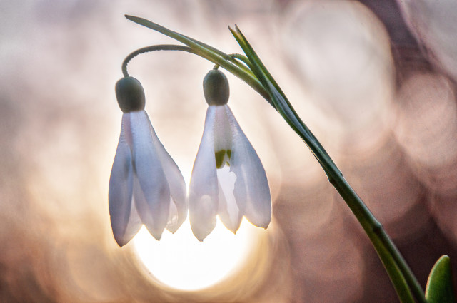 19 наурыз Қазақстанда – Жаңару күні