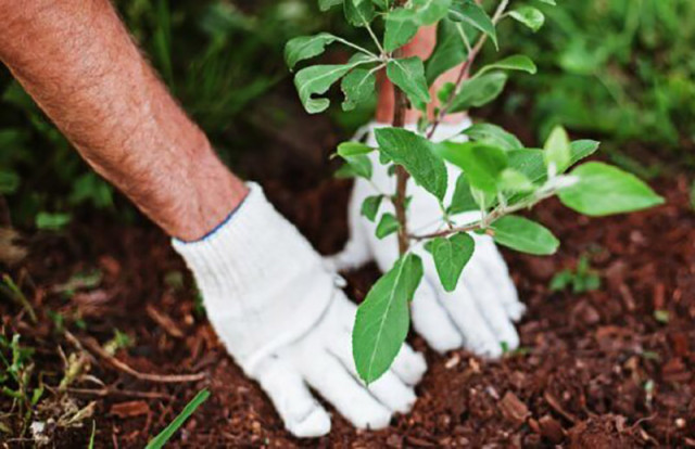 Kazakhstan celebrates Renewal Day on March 19