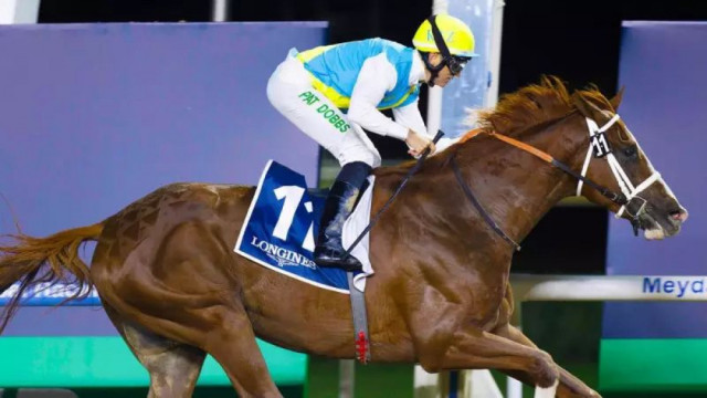 Қозоғистон тулпори дунёни лол қолдиряпти