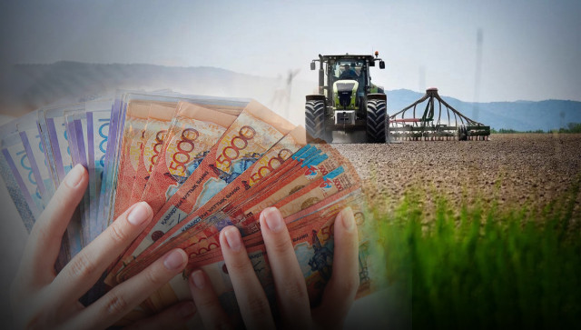 Жазгы айдап-себүү өнөктүгүнө 400 млрд теңге бөлүнөт