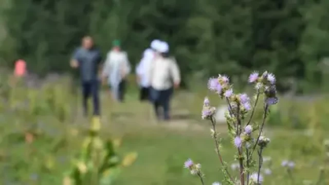 Казахстан поднялся на 14 позиций в мировом рейтинге туризма