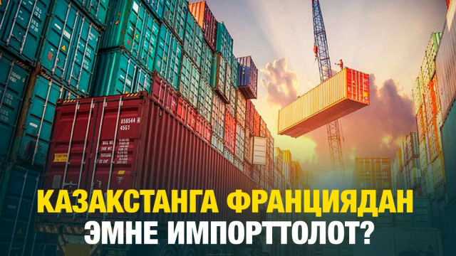 Казакстанга Франциядан эмне импорттолот?