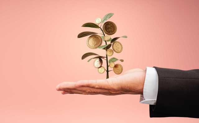 Venture capital market in Kazakhstan grows rapidly