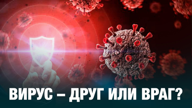Вирус – друг или враг?