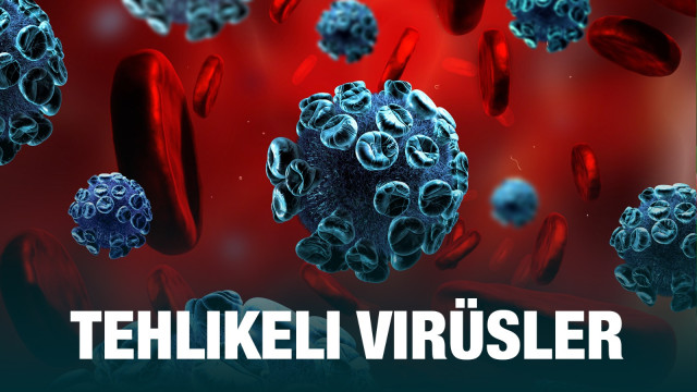 Tehlikeli virüsler