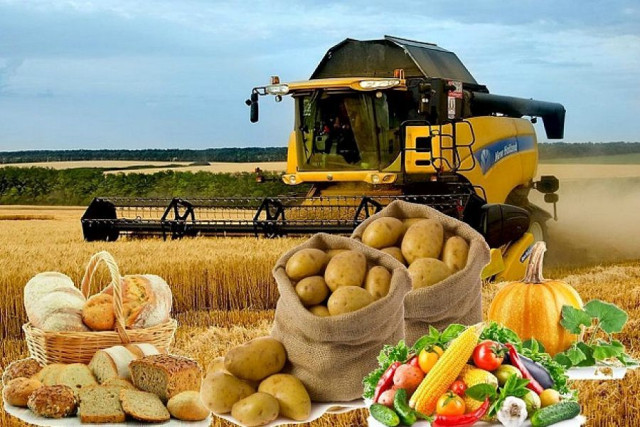 Казакстан 626,5 млн долларга кайра иштетилген продукцияны экспорттоду