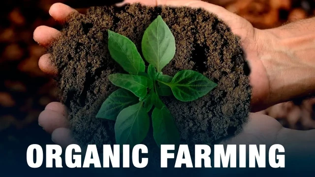 Organic farming