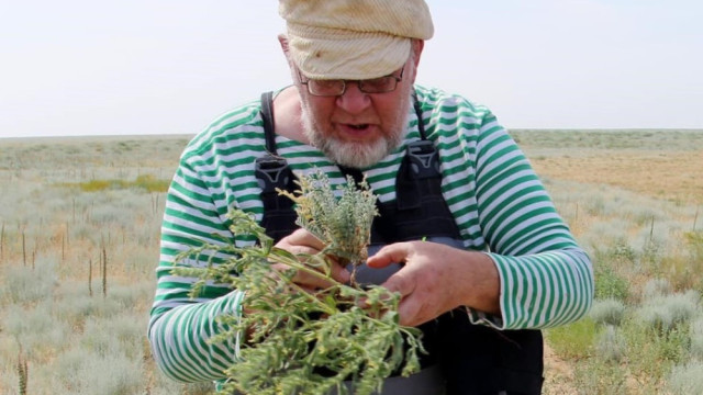 Scientific breakthrough - New plant species discovered in Kazakhstan