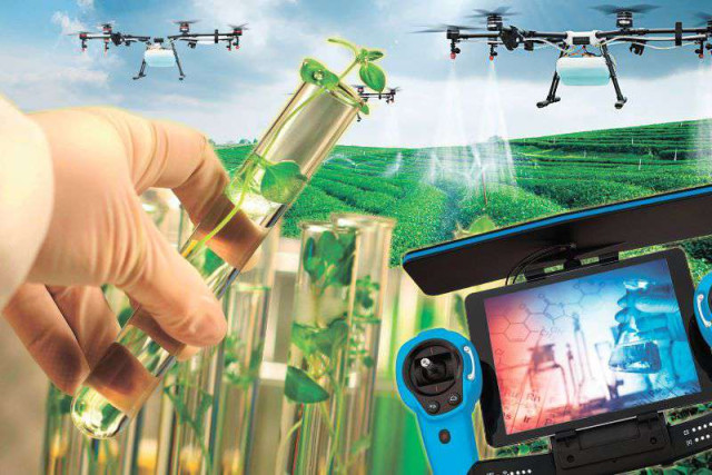 Илмталаб лойиҳалар илгарилатилади