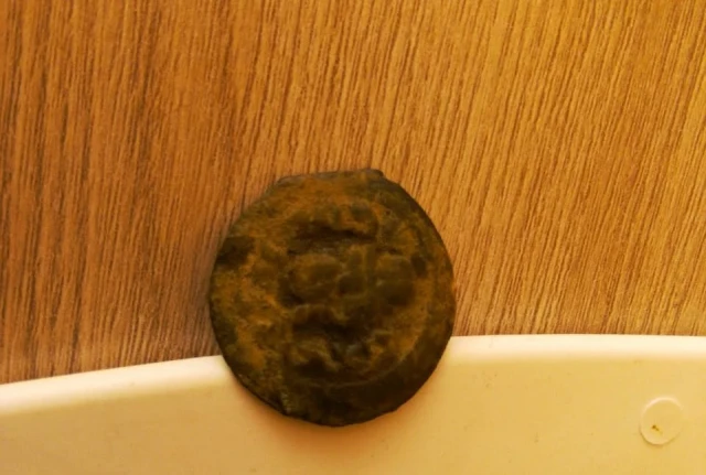 «Таңбалы» қорық-музейінен жаңа жәдігерлер табылды