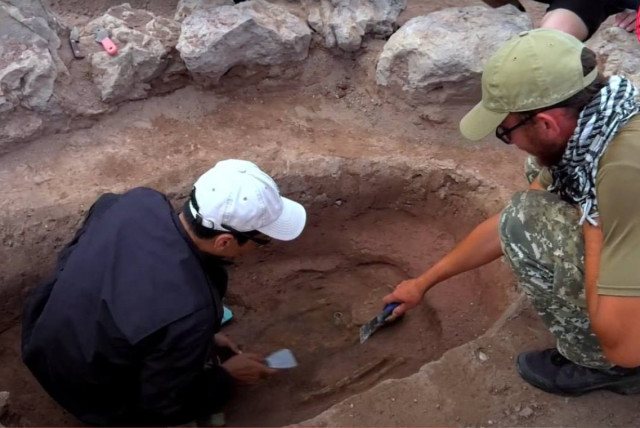 Archaeologists discover unique artifacts in Pavlodar region