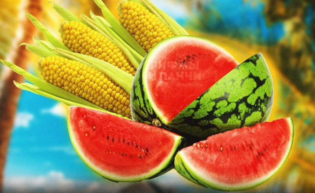 Farmers in Kyzylorda region aim for bountiful harvest