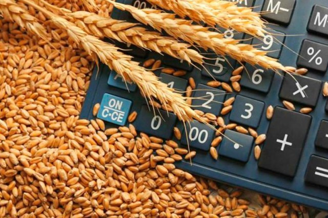 Қазақстан биыл 2,6 млн тонна бидай экспорттады