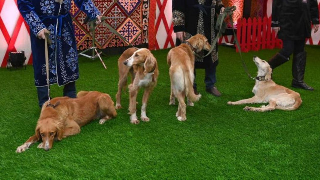 Тайгандын генетикалык уникалдуулугу илимий жактан далилденди