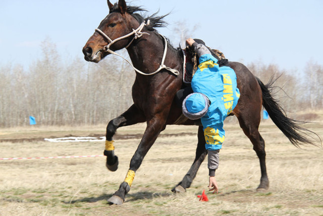 V Дүниежүзілік көшпенділер ойындарында теңге ілуден Қазақстан құрамасы чемпион атанды