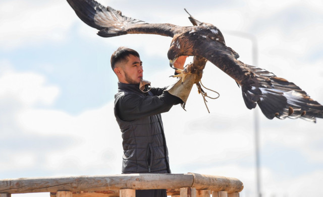 Чет элдик басылмалар