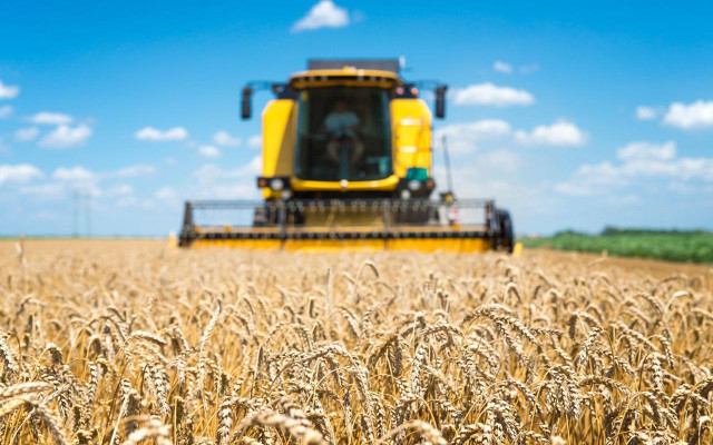 Өкмөттө агро өнөр жай комплексин колдоо чаралары талкууланды