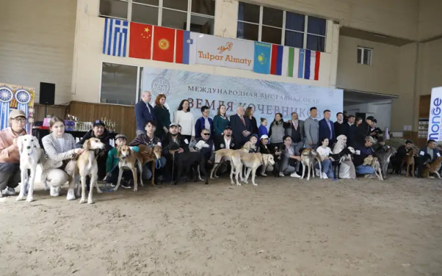 Қазақ тазысы Халықаралық көрмеде таныстырылды