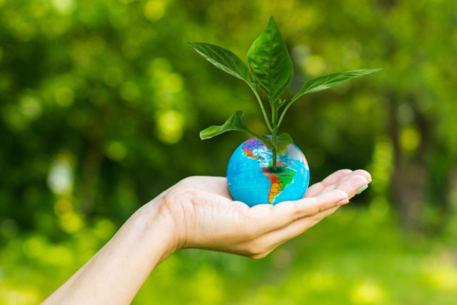 Қазақстандық Табиғатты қорғау бастамасы әлемдік экологиялық байқауға ұсынылды