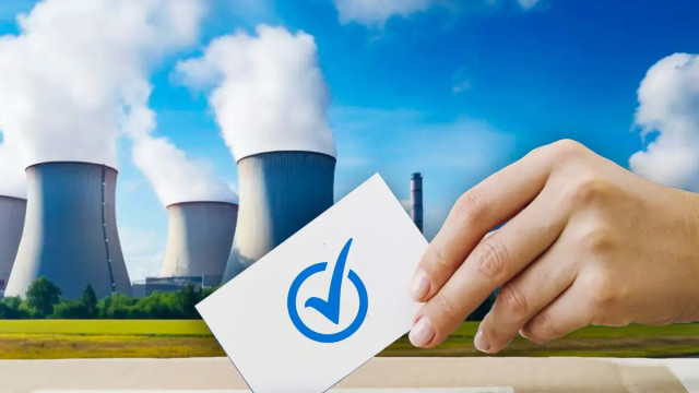 АЭС салууга байланыштуу референдумга 30 мамлекеттен байкоочу келет