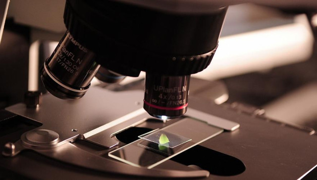 113 scientific and technical projects approved in Kazakhstan for 2025-2027