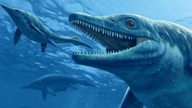 Казакстандыктар ихтиозаврды 2025-жылы көрө алышат