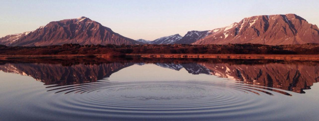 Experts: environmental issues have become part of global agenda