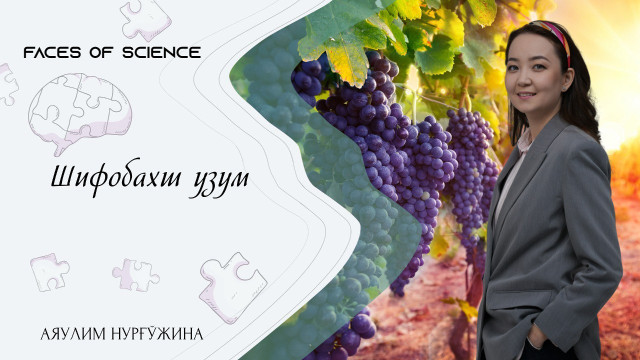 Аяулим Нурғўжина. Шифобахт узум