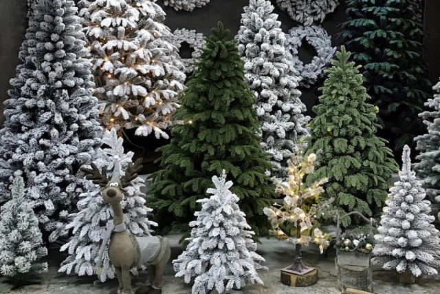 New Year tree sales season kicks off in Kazakhstan