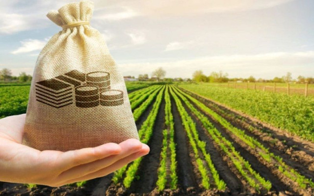 Agricultural investments on rise in Kazakhstan