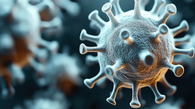 WHO rules out metapneumovirus pandemic