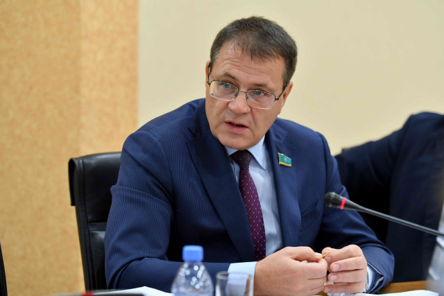 Депутаты готовы к реализации инициатив Президента Казахстана