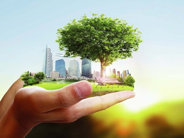 Қозоғистон 2025 йилда қатор экологик лойиҳаларни рўёбга чиқаради