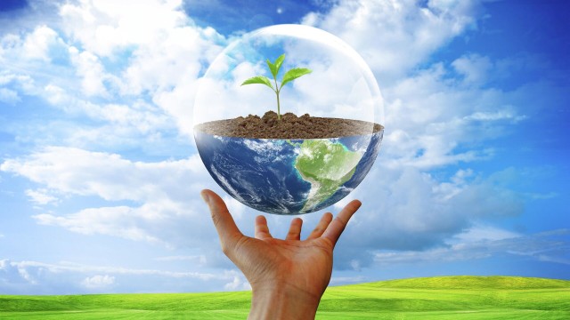Kazakhstan to implement series of major eco-projects in 2025