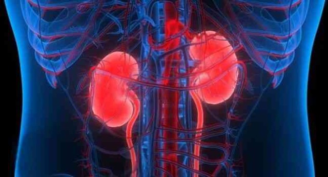 Over 200 kidney transplant surgeries performed in Shymkent