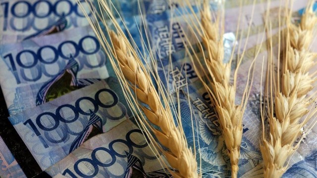 Farmers receive 171 billion tenge in loans for spring fieldwork