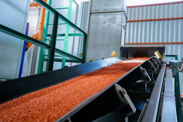 Kazakhstan to build fertilizer plant