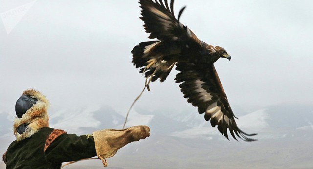 Казак талаасы-куш салуунун мекени