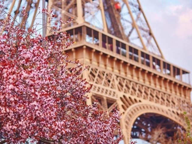 New season of Francophonie Spring Festival kicks off in Kazakhstan