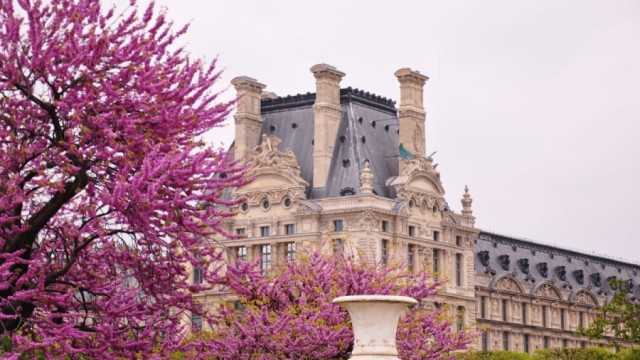 Казакстанда салттуу «Франкофония жазы» фестивалы башталды