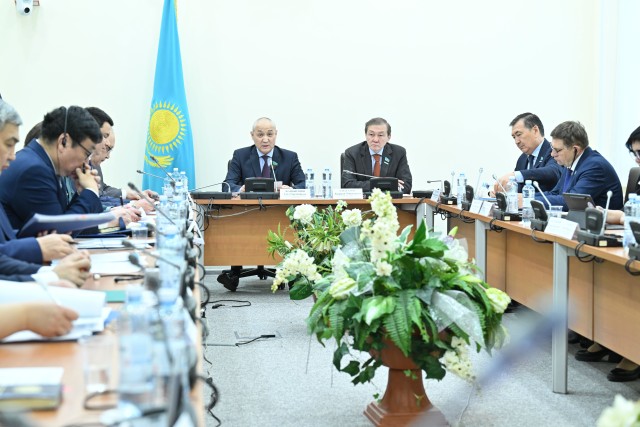 Мажилис Каспий маселесин карады