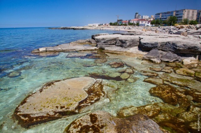 Казахстан усиливает международное сотрудничество для сохранения Каспия