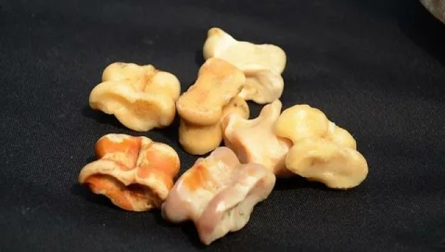 Ақтўбелик йигит Қозоғистон рекордлар китобига кирмоқчи