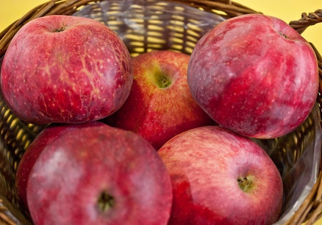 Kazakhstan revives legendary Aport apple