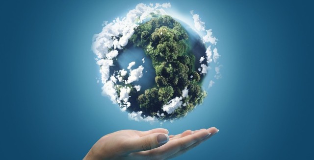 Эл аралык табиятты коргоо союзунун биринчи аймактык кеңсеси Өзбекстанда ишин баштады