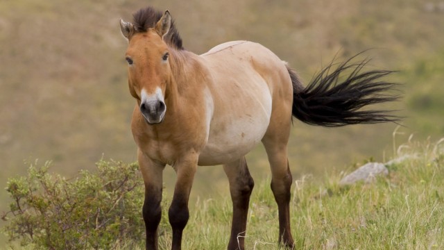 Экология муаммолари ҳал этилиши имкони бор