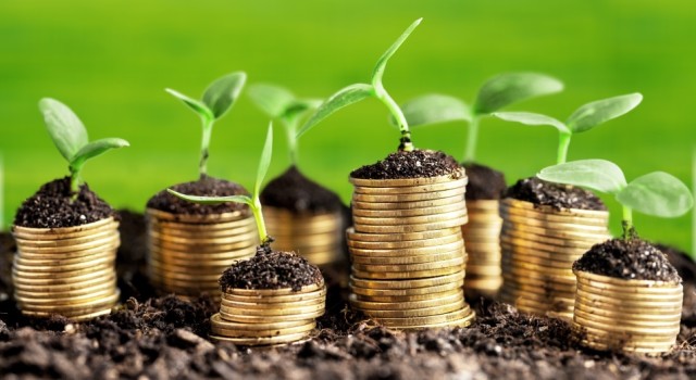 Қозоғистонда экин-тикин ишлари якунланди