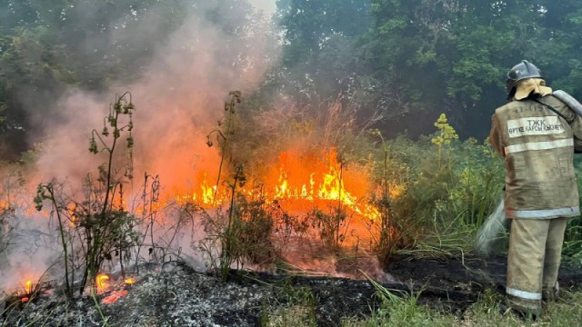 New methods to combat forest fires introduced in Kazakhstan