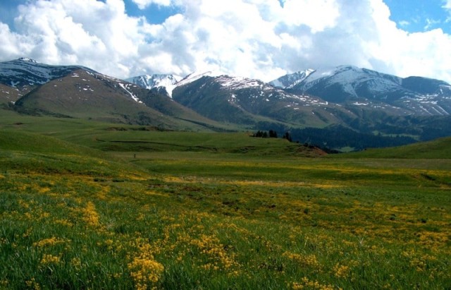 Сари-Тоо машҳур бўлиб бормоқда