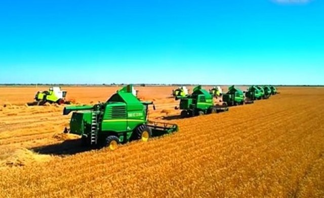 Grain harvest completed in Turkmenistan